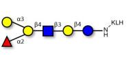 Blood group B antigen...