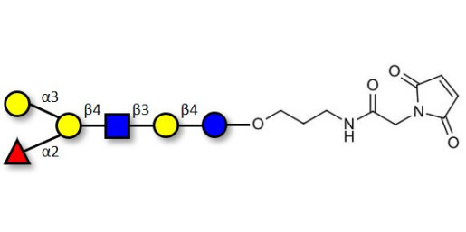 Blood group B antigen hexaose type 2 linked to maleimide (Linker-MAL A)