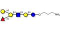 Blood group B antigen hexaose type 2 with free terminal amine (Linker-NH2 A)