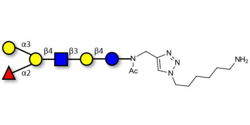 Blood group B antigen hexaose type 2 with free terminal amine (Linker-NH2 D)