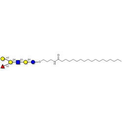 Blood group B antigen hexaose type 2 with stearic chain (Linker-STEA A)