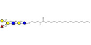 Blood group B antigen...