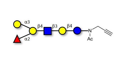Blood group B antigen hexaose type 2 with terminal alkyne (Linker-CΞCH A)