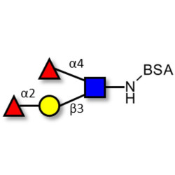 Lewis b (Leb) tetraose grafted on BSA