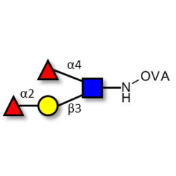Lewis b (Leb) tetraose grafted on OVA