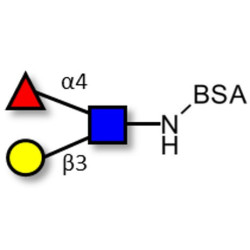 Lewis a (Lea) triose grafted on BSA
