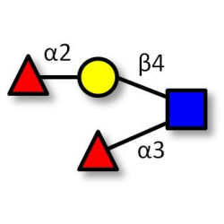 Lewis y (Ley) tetraose (>85% NMR)