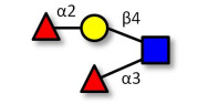 Lewis y (Ley) tetraose...