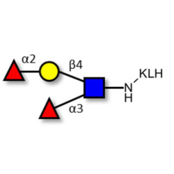 Lewis y (Ley) tetraose grafted on KLH