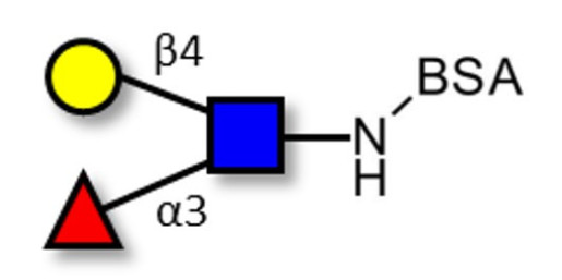 Lewis x (Lex) triose grafted on BSA - SSEA-1 ; CD15 ; Lewis X trisaccharide