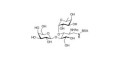 Lewis x (Lex) triose grafted on BSA - SSEA-1 ; CD15 ; Lewis X trisaccharide