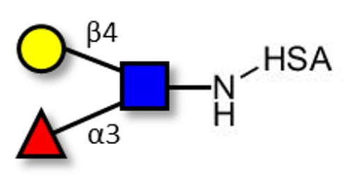 Lewis x (Lex) triose grafted on HSA - SSEA-1 ; CD15 ; Lewis X trisaccharide
