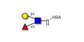 Lewis x (Lex) triose grafted on HSA - SSEA-1 ; CD15 ; Lewis X trisaccharide