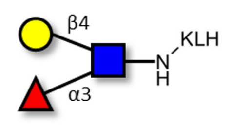 Lewis x (Lex) triose grafted on KLH - SSEA-1 ; CD15 ; Lewis X trisaccharide