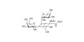 Lewis x (Lex) triose grafted on KLH - SSEA-1 ; CD15 ; Lewis X trisaccharide