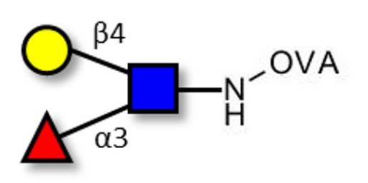 Lewis x (Lex) triose grafted on OVA - SSEA-1 ; CD15 ; Lewis X trisaccharide
