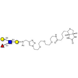 Lewis x (Lex) tetraose linked to biotin (Linker-BT A)