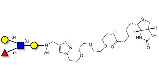 Lewis x (Lex) tetraose linked to biotin (Linker-BT A)