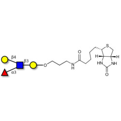 Lewis x (Lex) tetraose linked to biotin (Linker-BT B)