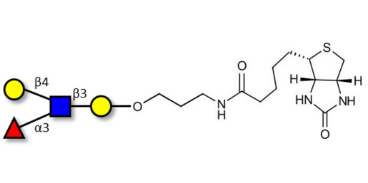 Lewis x (Lex) tetraose linked to biotin (Linker-BT B)