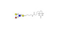 Lewis x (Lex) tetraose linked to biotin (Linker-BT B)