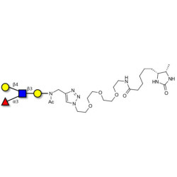 Lewis x (Lex) tetraose linked to desthiobiotin (Linker-DBT-A)