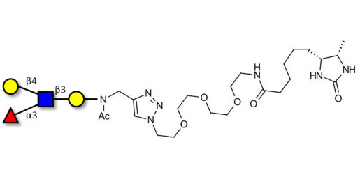 Lewis x (Lex) tetraose linked to desthiobiotin (Linker-DBT-A)