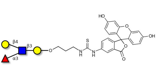 Lewis x (Lex) tetraose linked to fluorescein (Linker-FLUO A)