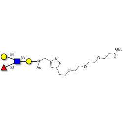 Lewis x (Lex) tetraose grafted on gel for affinity chromatography (Linker-GEL A)