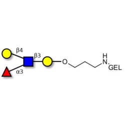 Lewis x (Lex) tetraose grafted on gel for affinity chromatography (Linker-GEL B)
