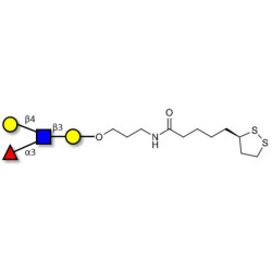 Lewis x (Lex) tetraose with cyclic di-thiol (Linker-LIPO A)