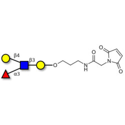 Lewis x (Lex) tetraose linked to maleimide (Linker-MAL A)