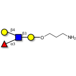 Lewis x (Lex) tetraose with free terminal amine (Linker-NH2 A)