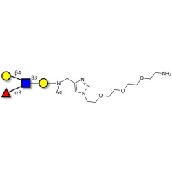 Lewis x (Lex) tetraose with free terminal amine (Linker-NH2 B)