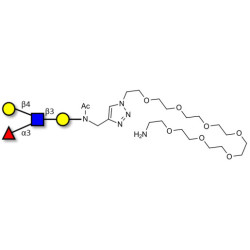 Lewis x (Lex) tetraose with free terminal amine (Linker-NH2 C)