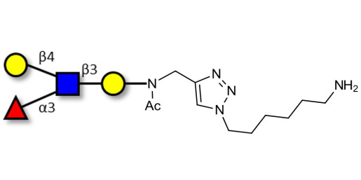 Lewis x (Lex) tetraose with free terminal amine (Linker-NH2 D)