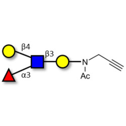 Lewis x (Lex) tetraose with terminal alkyne (Linker-CΞCH A)