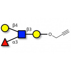 Lewis x (Lex) tetraose with terminal alkyne (Linker-CΞCH B)