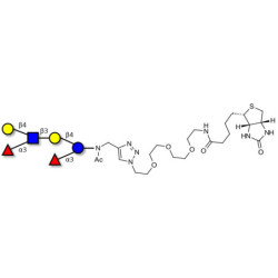 Lewis x (Lex) hexaose / Lacto-N-neodifucohexaose II (LNnDFH II) linked to biotin (Linker-BT A)