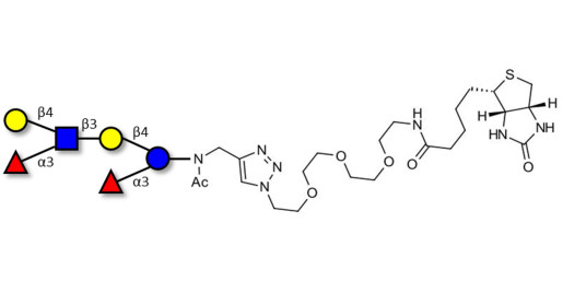 Lewis x (Lex) hexaose / Lacto-N-neodifucohexaose II (LNnDFH II) linked to biotin (Linker-BT A) - Lewis X hexasaccharide; Lacto-N-difucohexaose III ; LNDFH III