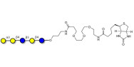 Lacto-N-tetraose-β-O-aminop...