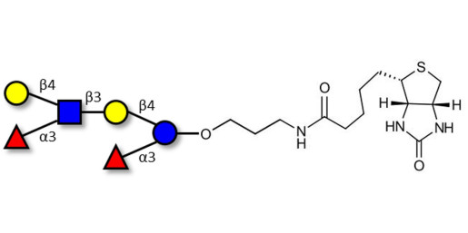 Lewis x (Lex) hexaose / Lacto-N-neodifucohexaose II (LNnDFH II) linked to biotin (Linker-BT B) - Lewis X hexasaccharide; Lacto-N-difucohexaose III ; LNDFH III