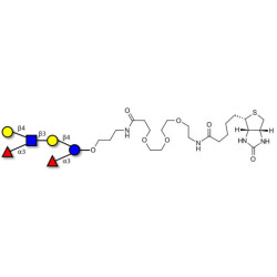 Lewis x (Lex) hexaose / Lacto-N-neodifucohexaose II (LNnDFH II) linked to biotin (Linker-BT C)