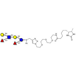 Lewis x (Lex) hexaose / Lacto-N-neodifucohexaose II (LNnDFH II) linked to desthiobiotin (Linker-DBT-A)