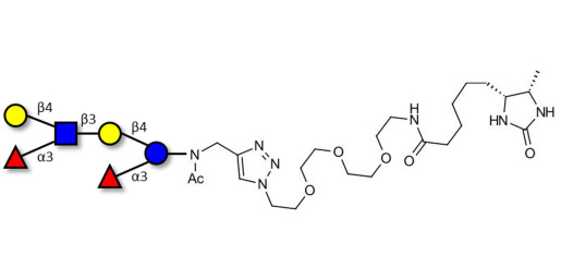 Lewis x (Lex) hexaose / Lacto-N-neodifucohexaose II (LNnDFH II) linked to desthiobiotin (Linker-DBT-A) - Lewis X hexasaccharide; Lacto-N-difucohexaose III ; LNDFH III