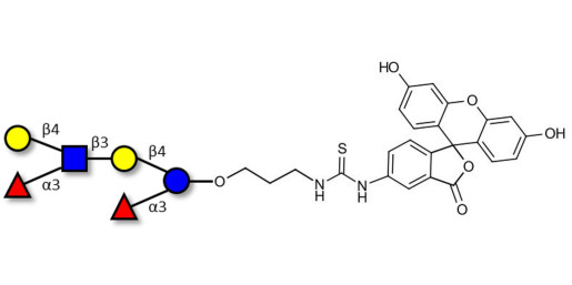 Lewis x (Lex) hexaose / Lacto-N-neodifucohexaose II (LNnDFH II) linked to fluorescein (Linker-FLUO A) - Lewis X hexasaccharide; Lacto-N-difucohexaose III ; LNDFH III