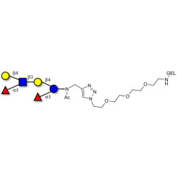 Lewis x (Lex) hexaose / Lacto-N-neodifucohexaose II (LNnDFH II) grafted on gel for affinity chromatography (Linker-GEL A)