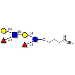 Lewis x (Lex) hexaose / Lacto-N-neodifucohexaose II (LNnDFH II) grafted on gel for affinity chromatography (Linker-GEL B)