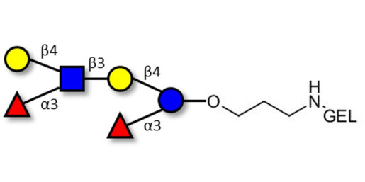 Lewis x (Lex) hexaose / Lacto-N-neodifucohexaose II (LNnDFH II) grafted on gel for affinity chromatography (Linker-GEL B) - Lewis X hexasaccharide; Lacto-N-difucohexaose III ; LNDFH III