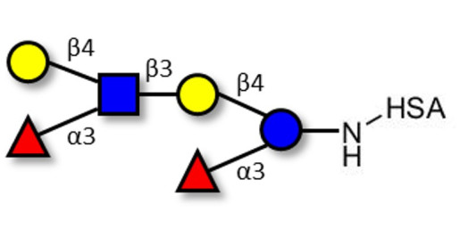 Lewis x (Lex) hexaose / Lacto-N-neodifucohexaose II (LNnDFH II) grafted on HSA - Lewis X hexasaccharide; Lacto-N-difucohexaose III ; LNDFH III